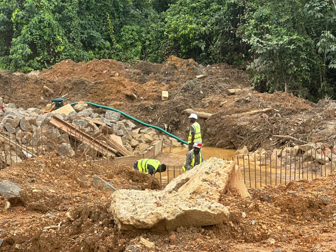 Field Activity