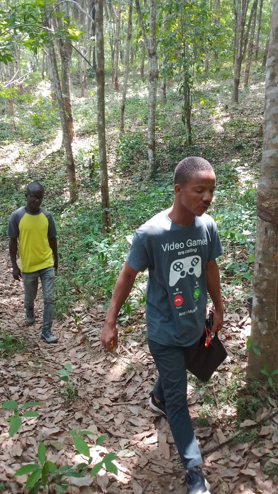 Field Activity